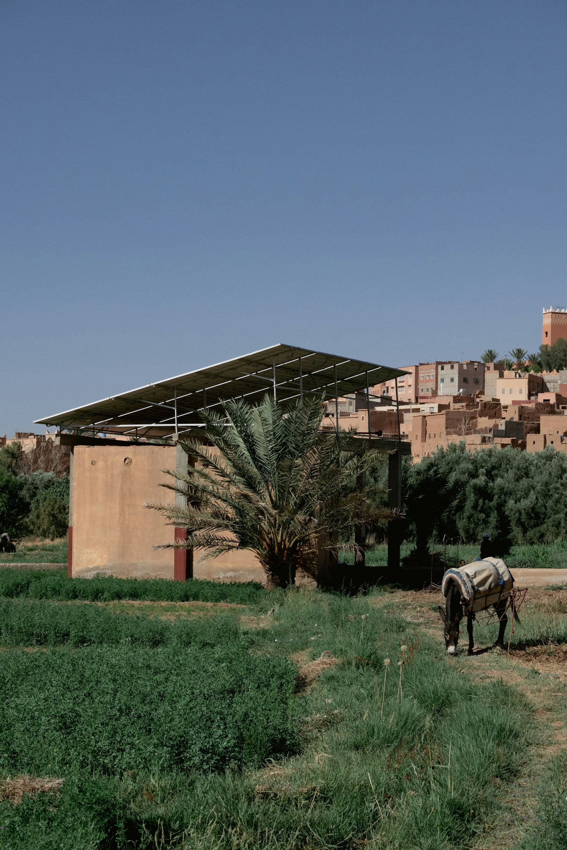 Solar Energy Solutions